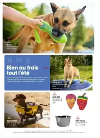 Mondou flyer Page 8