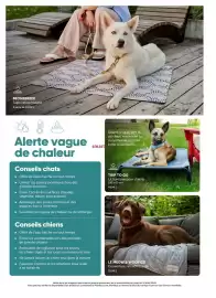 Mondou flyer Page 9