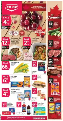 Co-op flyer (valid until 1-07)
