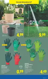 Catálogo Lidl semana 27 Página 25