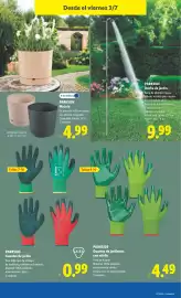 Catálogo Lidl semana 27 Página 25