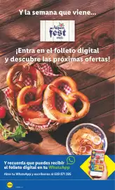 Catálogo Lidl semana 27 Página 36