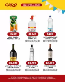 Catálogo Autoservicio Capo semana 26 Página 5