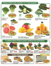 The Garden Basket flyer week 26 Page 2