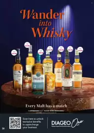 Bestway leaflet Page 30