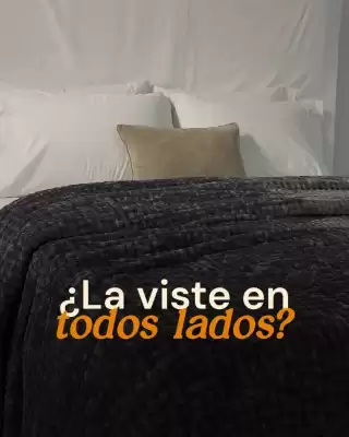 Jean Cartier (válido hasta 30-06)