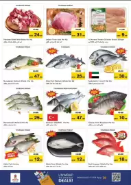 Nesto catalogue Page 17