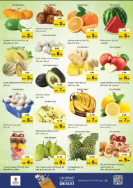 Nesto catalogue Page 2