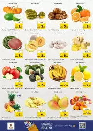 Nesto catalogue Page 2