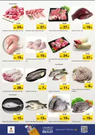 Nesto catalogue Page 3