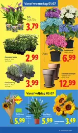 Lidl folder week 27 Pagina 22