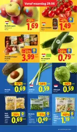 Lidl folder week 27 Pagina 4