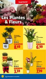 Catalogue Lidl semaine 27 page 24