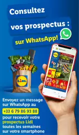 Catalogue Lidl semaine 27 page 61