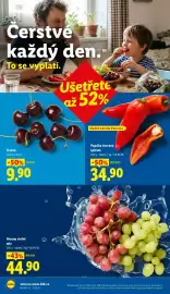 Lidl leták Strana 10