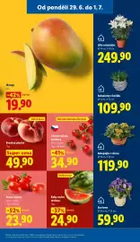 Lidl leták Strana 11