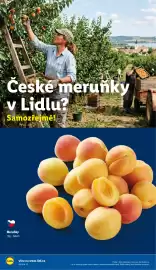 Lidl leták Strana 54