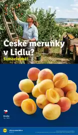 Lidl leták Strana 54