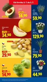 Lidl leták Strana 11