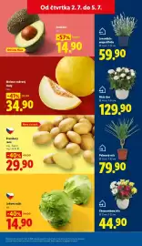 Lidl leták Strana 11