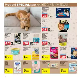 Volantino Carrefour Pagina 20
