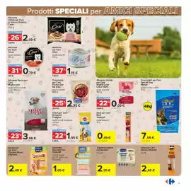 Volantino Carrefour Pagina 21