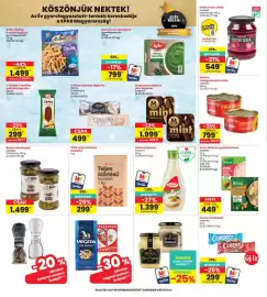 Interspar akciós újság hét 26 Oldal 22