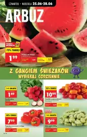 Biedronka gazetka tydzień 26 Strona 18