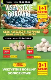 Biedronka gazetka tydzień 26 Strona 20