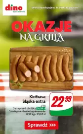 Dino gazetka tydzień 26 Strona 1