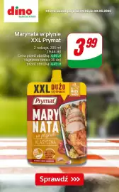Dino gazetka tydzień 26 Strona 5