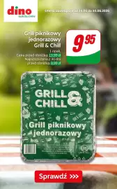 Dino gazetka tydzień 26 Strona 9
