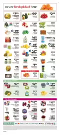 ShopRite flyer week 27 Page 13