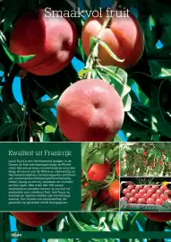 Sligro folder | Food Pagina 10