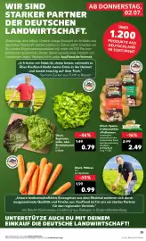 Kaufland Prospekt Seite 36
