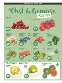 V Markt Prospekt woche 27 Seite 4