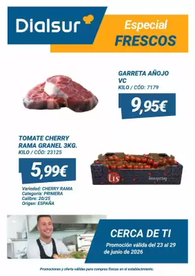 Dialsur Cash & Carry (válido hasta el 29-06)