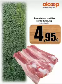 Folleto Super Alcoop semana 26 Página 3
