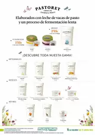 Folleto Masymas Página 12