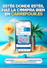 Folleto Carrefour Página 10