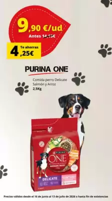 Tu Alteza (válido hasta el 13-07)