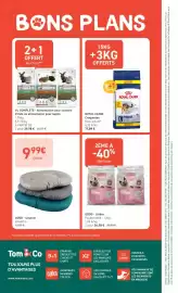 Catalogue Tom&Co page 12
