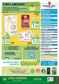 Volantino Ciro Amodio Pagina 12