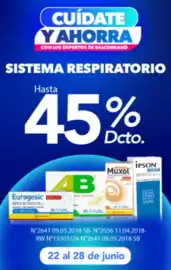 Catálogo Salcobrand Página 6