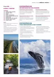 Folheto Abreu Página 61