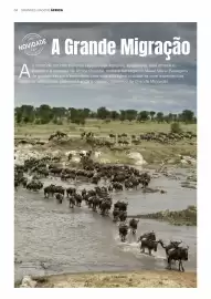 Folheto Abreu Página 64