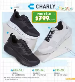 Catálogo Cklass Página 117