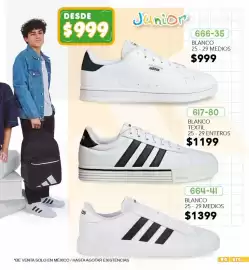 Catálogo Cklass Página 95