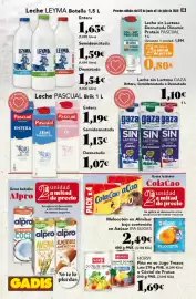 Folleto Gadis semana 26 Página 14