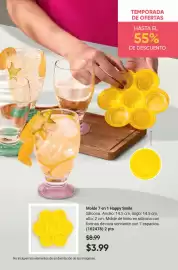 Catálogo AVON Página 17
